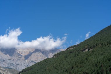 Mavi gökyüzünün altında ormanla kaplı bir dağ sırtı. Güneşli yaz gününde mavi gökyüzünün altında yeşil yemyeşil yemyeşil yapraklarla kaplı dağ yamaçlarının ve tepelerin manzarası..