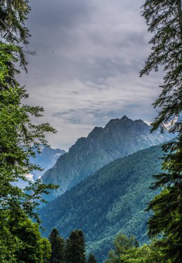 Bulutlu havada yeşil ağaçların arasından dağların güzel manzarası. Yaz mevsiminde yeşil dizili kudretli dağlar