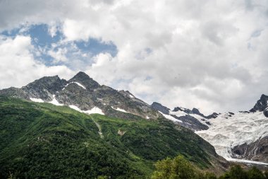 Bulutlu havada yeşil bitkilerle kaplı buzul dağı.