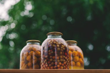 Kavanozlu kompot. Mühürlü cam kavanozlar ve kompot bahçedeki yaz günü çiçeklerin ve meyvelerin yanına konur..