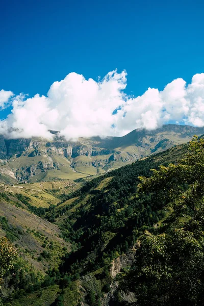 Horský Hřeben Pokrytý Lesem Pod Modrou Oblohou Malebná Scenérie Horských — Stock fotografie