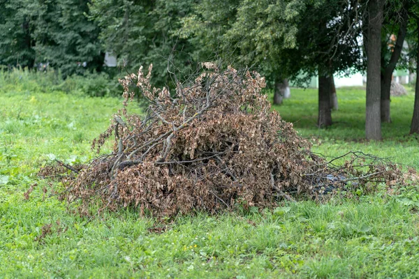 街上有一大堆干枯的树枝 关闭堆放在地面上的干原木垃圾 — 图库照片
