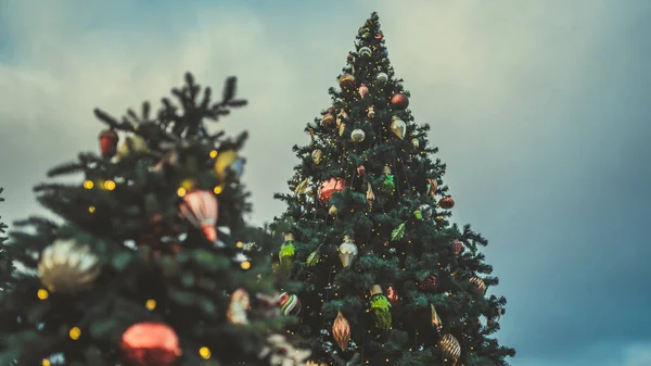 Arbre Noël Dans Rue Soir Petit Angle Conifères Avec Décorations — Photo