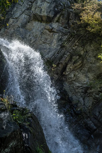 Cachoeira Incrível Floresta Verão Cenário Espetacular Cachoeira Rápida Fluindo Para — Fotografia de Stock