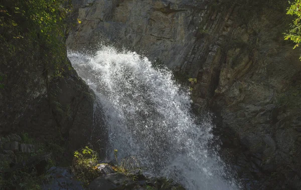 Yazın ormanda inanılmaz bir şelale. Hızlı şelalenin muhteşem manzarası güneşli bir günde ormanda nehre akıyor..