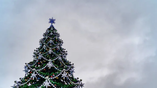 Christmas Tree Evening Street Low Angle Coniferous Tree Traditional Christmas — Stock Photo, Image