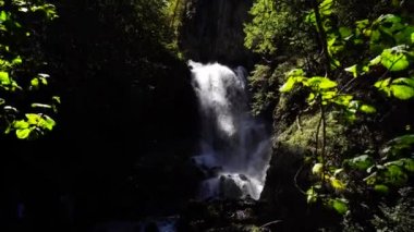 Yazın ormanda inanılmaz bir şelale. Hızlı şelalenin muhteşem manzarası güneşli bir günde ormanda nehre akıyor..