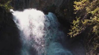 Yazın ormanda inanılmaz bir şelale. Hızlı şelalenin muhteşem manzarası güneşli bir günde ormanda nehre akıyor..