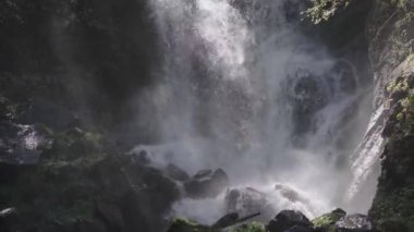 Yazın ormanda inanılmaz bir şelale. Hızlı şelalenin muhteşem manzarası güneşli bir günde ormanda nehre akıyor..