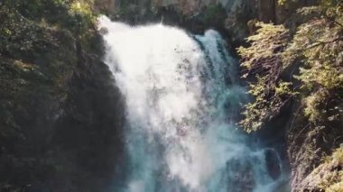 Yazın ormanda inanılmaz bir şelale. Hızlı şelalenin muhteşem manzarası güneşli bir günde ormanda nehre akıyor..