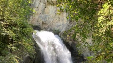 Yazın ormanda inanılmaz bir şelale. Hızlı şelalenin muhteşem manzarası güneşli bir günde ormanda nehre akıyor..