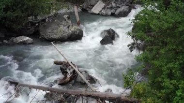 Dağlık bölgede akan su yolunu kapatın. Dağ nehri yazın ağaçlık alanda taşların arasından akar.