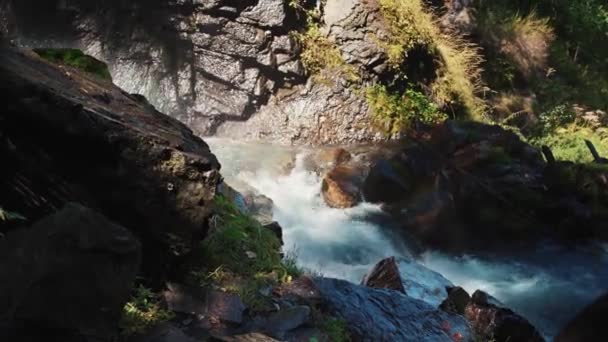 Удивительный Водопад Лесу Летом Захватывающие Пейзажи Стремительного Водопада Стекающего Вниз — стоковое видео