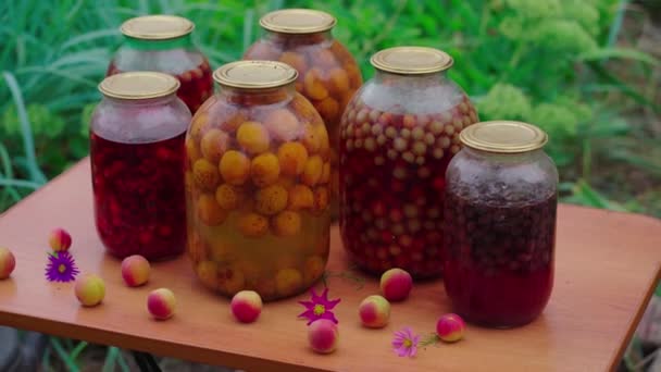 Beaucoup Pots Verre Fruits Conserve Dans Rue Des Pots Fruits — Video