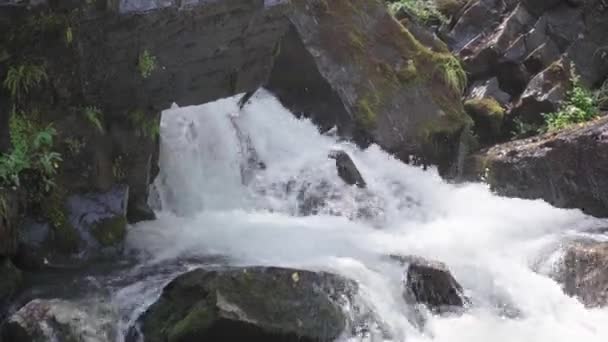 Niesamowity Wodospad Lesie Latem Spektakularne Krajobrazy Szybkiego Wodospadu Spływającego Rzeki — Wideo stockowe
