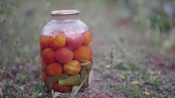 Close Van Grote Glazen Pot Met Gepekelde Groenten Bedden Grond — Stockvideo