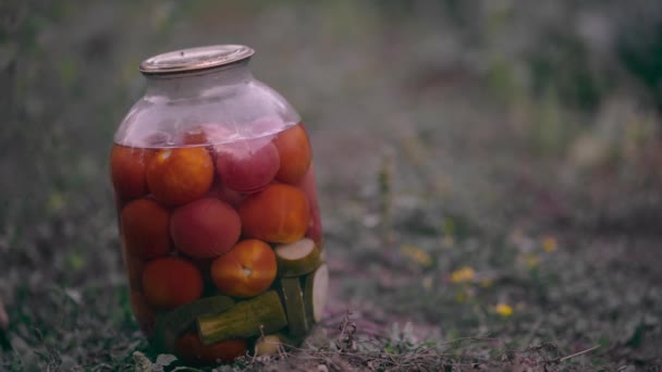 Close Van Grote Glazen Pot Met Gepekelde Groenten Bedden Grond — Stockvideo