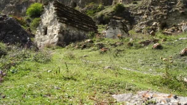 緑の山の中で古代の石造りの家 日当たりの良い夏の日に岩の山の緑の芝生の斜面に位置する老朽化した石造りの建物と素晴らしい風景 — ストック動画