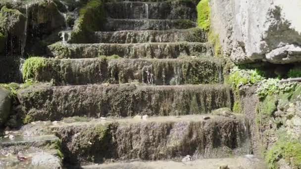 Gros Plan Ruisseau Montagne Descendant Des Marches Pierre Été Cascade — Video