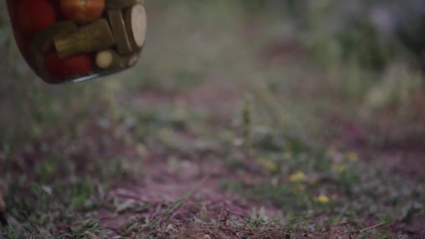 Nsan Elinin Yakınına Sebze Bahçesinde Salamura Sebze Ile Dolu Büyük — Stok video