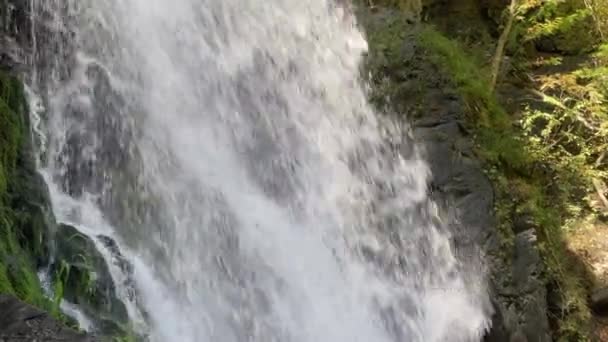 Niesamowity Wodospad Lesie Latem Spektakularne Krajobrazy Szybkiego Wodospadu Spływającego Rzeki — Wideo stockowe