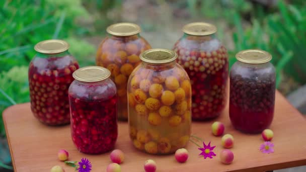 Viele Gläser Mit Obstkonserven Auf Der Straße Garten Stehen Gläser — Stockvideo