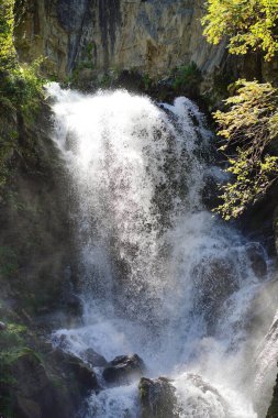 Yazın ormanda inanılmaz bir şelale. Hızlı şelalenin muhteşem manzarası güneşli bir günde ormanda nehre akıyor..