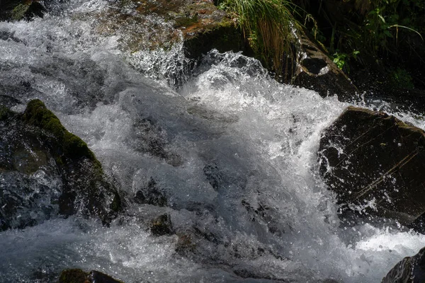 Close up of waterway flowing in mountainous area. Mountain river flows through stones in wooded area in summertime