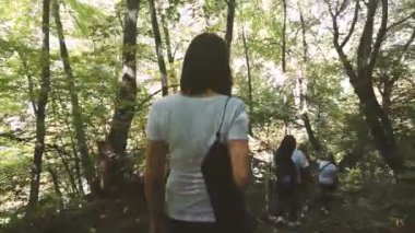 Bir grup insan ormanlık ve tepelik alanda yürüyüşe çıkar. Turistlerin arka manzarası.