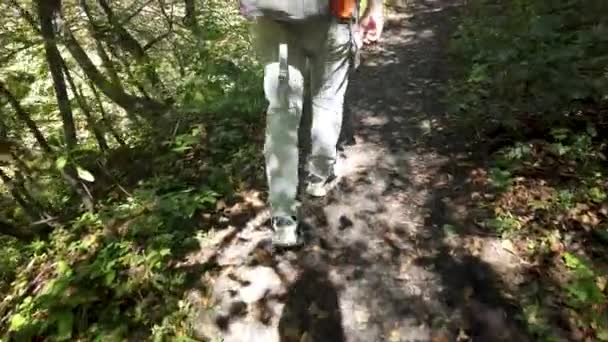 Un uomo va a fare escursioni in una zona boscosa e collinare. Vista posteriore. — Video Stock