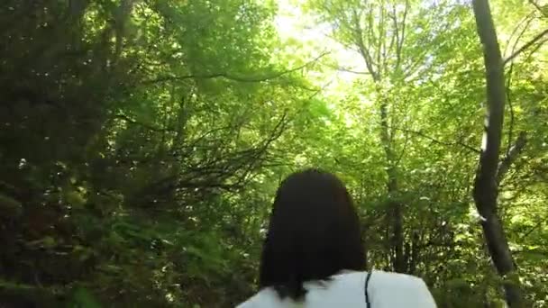 Group of people go hiking in wooded and hilly area. Rear view of tourists. — Stock Video