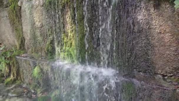 山川流经石堤附近 天气晴朗时 干净的水道在石头上流过 — 图库视频影像