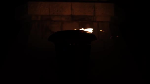 Закрыть вечный огонь в ночное время. Вечный огонь в память о погибших во Второй мировой войне. — стоковое видео