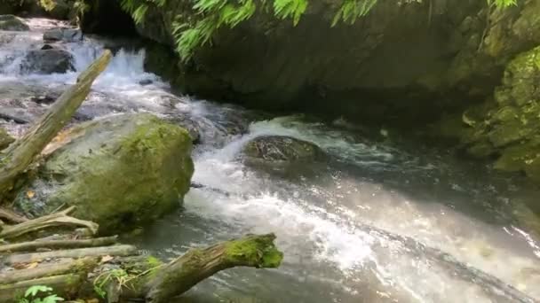 Bergrivier Stroomt Buurt Van Steenkust Schone Waterweg Stroomt Stenen Bij — Stockvideo