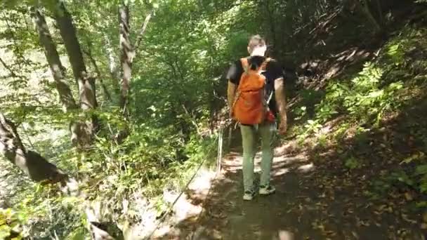 Un uomo va a fare escursioni in una zona boscosa e collinare. Vista posteriore. — Video Stock