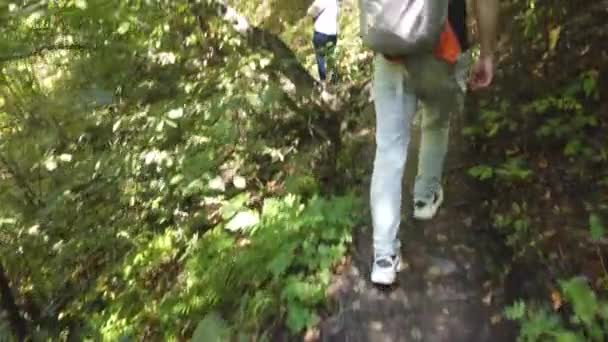 Un uomo va a fare escursioni in una zona boscosa e collinare. Vista posteriore. — Video Stock