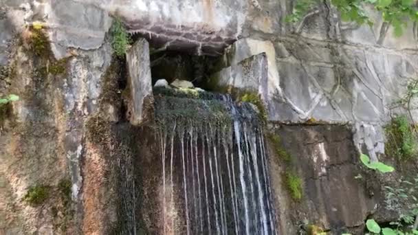Близко Горному Потоку Текущему Скалы Летом Декоративный Водопад Ручьев — стоковое видео