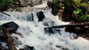 Dağ nehri taştan kıyıya doğru akıyor. Temiz su yolu güneşli havada taşların üzerinden akar..