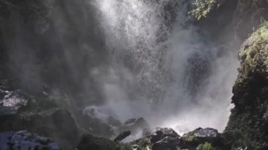 Yazın ormanda inanılmaz bir şelale. Hızlı şelalenin muhteşem manzarası güneşli bir günde ormanda nehre akıyor..