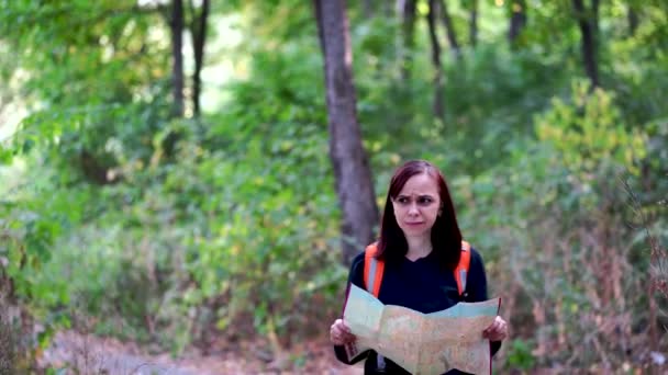 リュックとマップの森の中を歩く若い女性 女性観光客涙マップをスローし スマートフォンを取り出し インターネット上の目的地へのルートを構築 — ストック動画