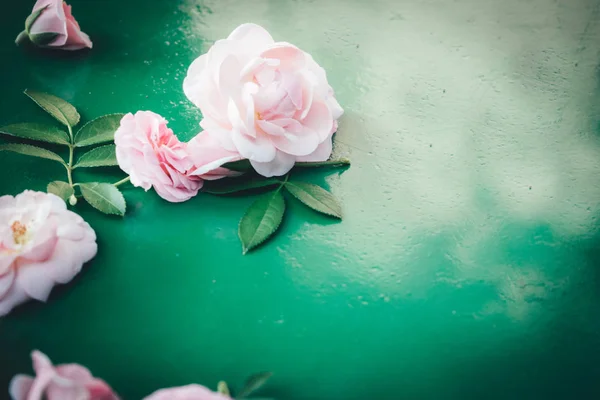 Солодкі Кольорові Троянди Якому Стилі Фону — стокове фото