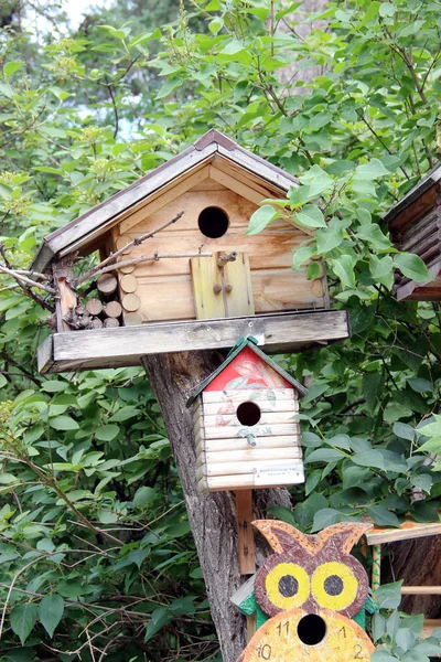 Birdhouse Casa Pássaros Criatividade Árvore Abrigo Plantas Animais Jardim Zoológico Imagem De Stock