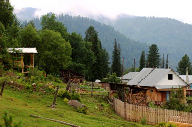 dağlar, peyzaj, tayga, Sibirya, yamaçları, bulutlar, Vadisi, çam, Sedir, köy, mavi, sis, spor, aktif, altay, göl, çim, ağaçlar, bitkiler, vahşi orman, taşlar, tazelik
