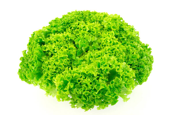 Green fresh salad lettuce isolated on white background.
