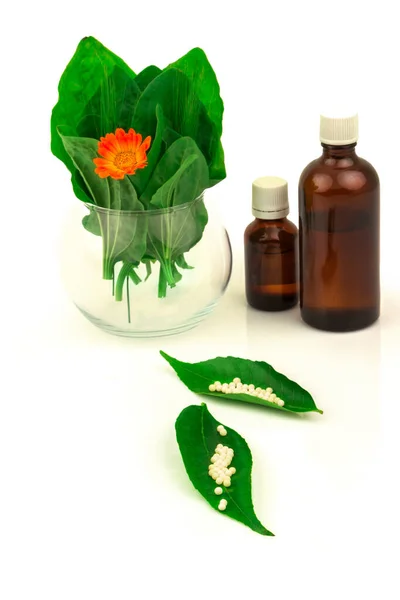 Green Leaves Flower Marigold Glass Bowl Bottles Homeopathic Globules Homeopathy — Stock Photo, Image