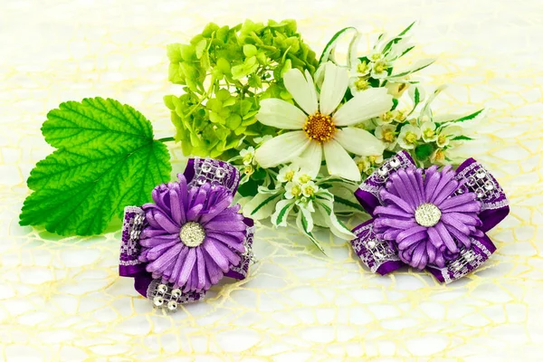 具有弹性和紫色缎带的藤壶 自然花朵洋甘菊和绿色叶子 白色背景隔离 — 图库照片