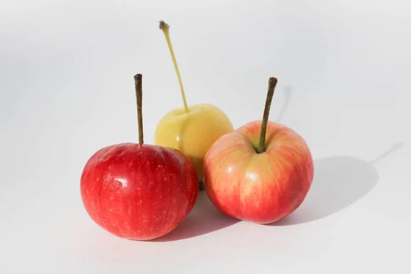 Red Yellow Apples Isolated White Background — Stock Photo, Image