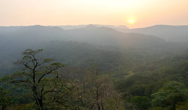 Ormanlarda günbatımında. Hindistan.