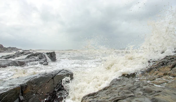 Seaside Kuzey Goa. Hindistan.