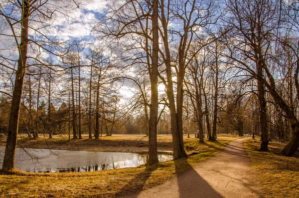Bahar doğanın uyanma vakti..